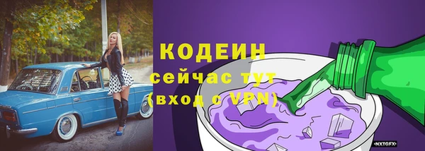 твердый Протвино
