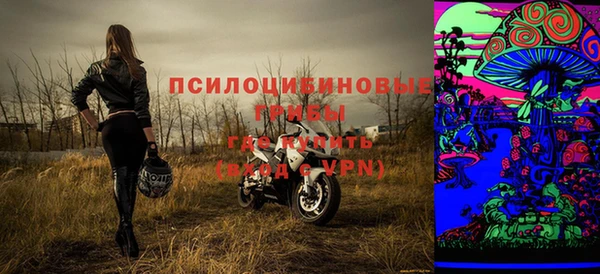 твердый Протвино