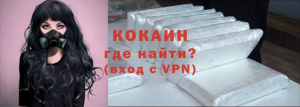 твердый Протвино