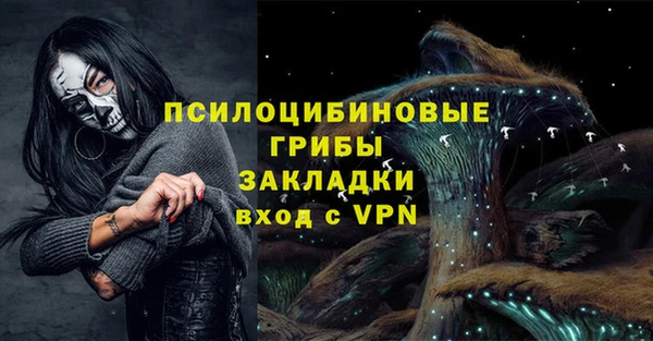 твердый Протвино