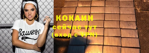 твердый Протвино
