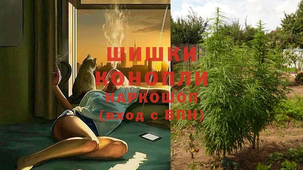 твердый Протвино