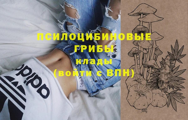тгк Пролетарск
