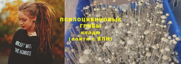 a pvp Приозерск