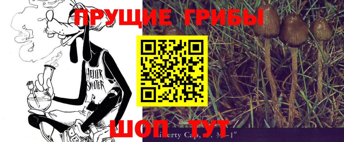 Богородицк  Галлюциногенные грибы Cubensis  Вход с VPN  Псилоцибиновые грибы Cubensis 