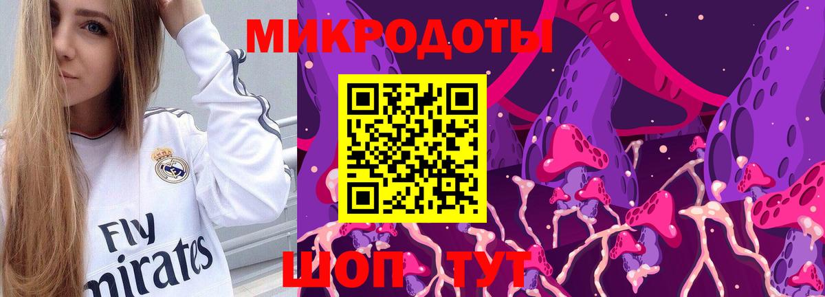 купить наркоту  Богородицк  Псилоцибиновые грибы ЛСД 